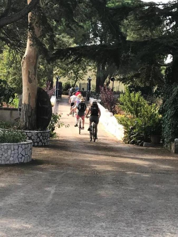 B&B Mandorla Amara Gioia Del Colle Εξωτερικό φωτογραφία