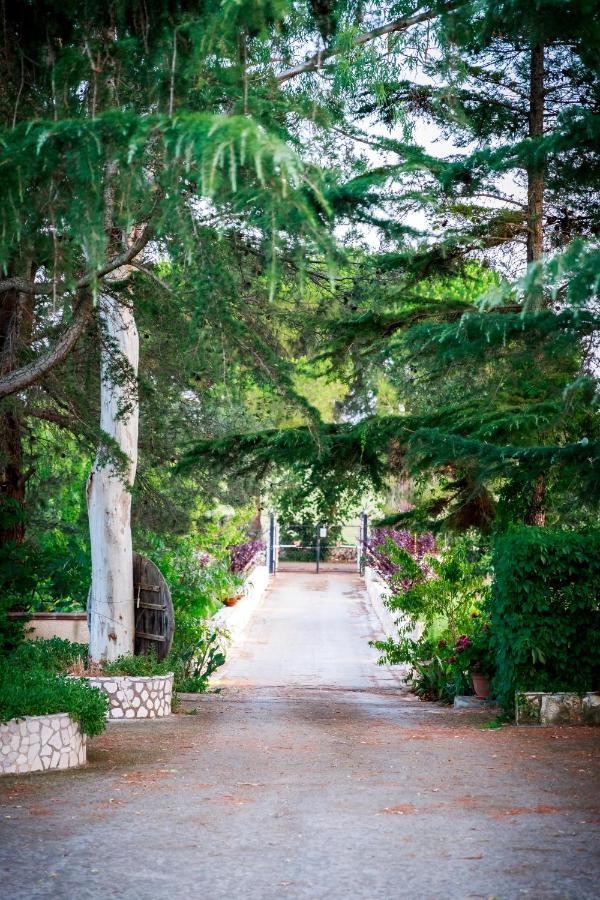 B&B Mandorla Amara Gioia Del Colle Εξωτερικό φωτογραφία
