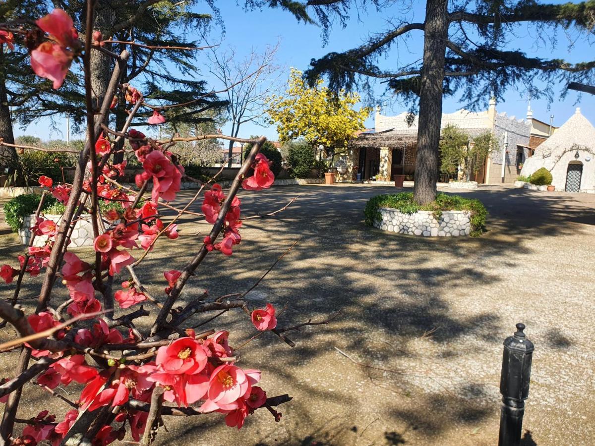 B&B Mandorla Amara Gioia Del Colle Εξωτερικό φωτογραφία