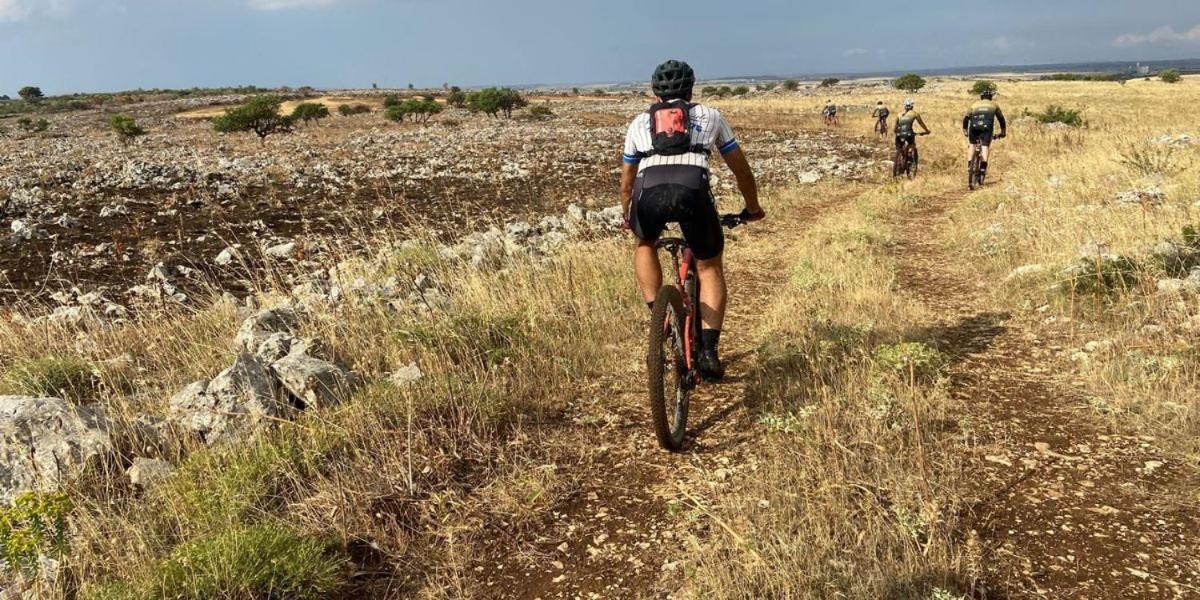 B&B Mandorla Amara Gioia Del Colle Εξωτερικό φωτογραφία