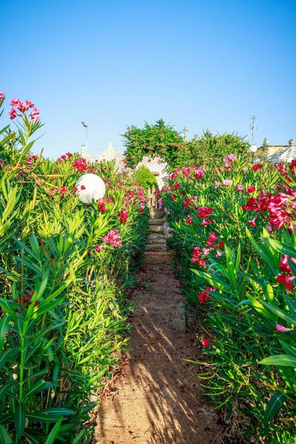 B&B Mandorla Amara Gioia Del Colle Εξωτερικό φωτογραφία