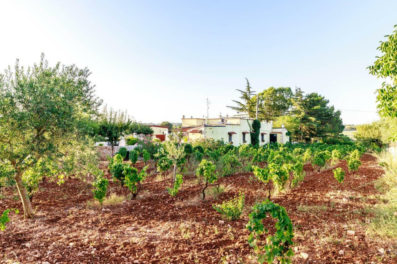B&B Mandorla Amara Gioia Del Colle Εξωτερικό φωτογραφία